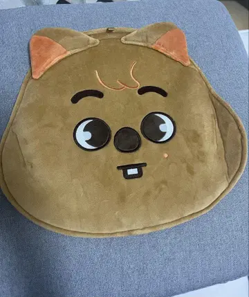 straykids 부채 커버 한