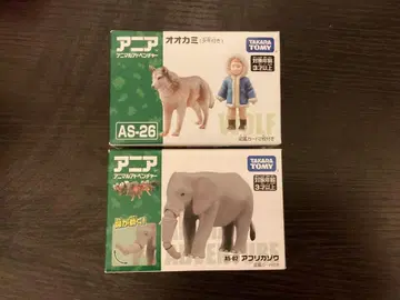 아니아 늑대 아프리카코끼리