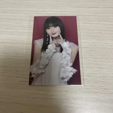 노기자카46 엔도 사쿠라 보도교 미니 브로마이드