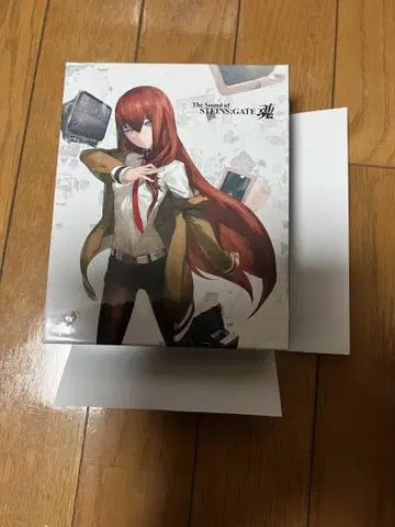STEINS;GATE 혼의 소리