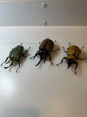 실물 크기 곤충 피규어 3개