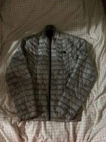 The North Face 그레이 다운 자켓