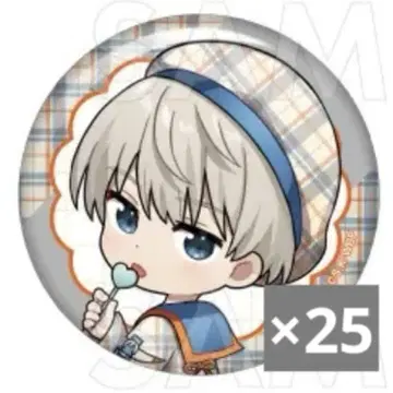 WIND BREAKER 윈브레 체크 세일러 캔뱃지 카지 렌 25개