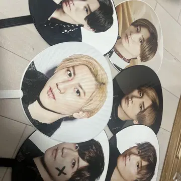 쿄모토 타이가 부채 복수 세트