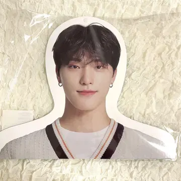 SEVENTEEN 디노 행거 HOME