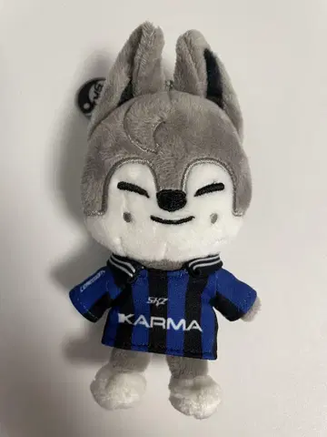 스트레이 키즈 KARMA SKZOO 키링 한