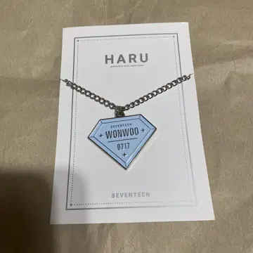 원우 HARU 다이아몬드 키링 2019