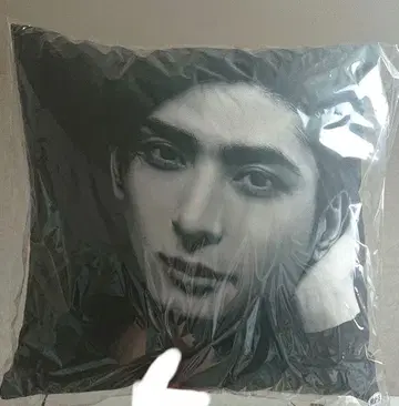 후루카와 유타 / 쿠션