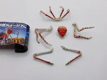 카이유칸 뮤지엄 타카아시가니 카이요도