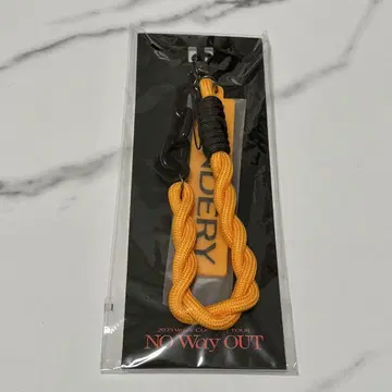 WayV NO Way OUT FANLIGHT 스트랩 HENDERY