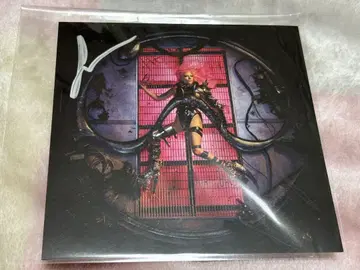 레어 레이디 가가 직필 사인 아트 카드 lady gaga