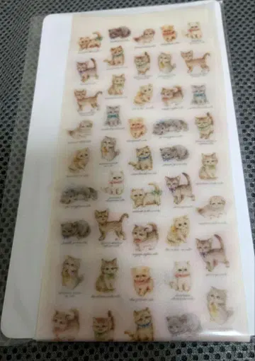 미사용*yukiemon*고양이 도감 패턴 양말*프리