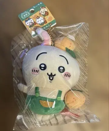 치이카와 (먼작귀) 미 마스코트 시즈오카 한정판 한정판 토끼