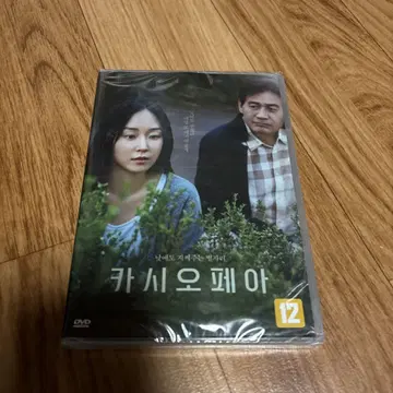 한국 카시오페아