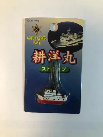 수산대학 교 량양환 스트랩