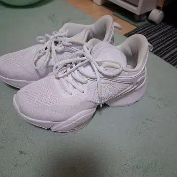 정품 줌바 신발 화이트 23.5cm