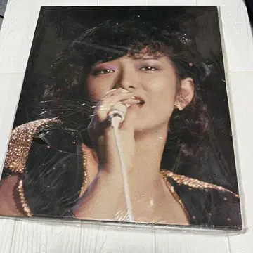 야마구치 모모에 패널 (라이브 장면)