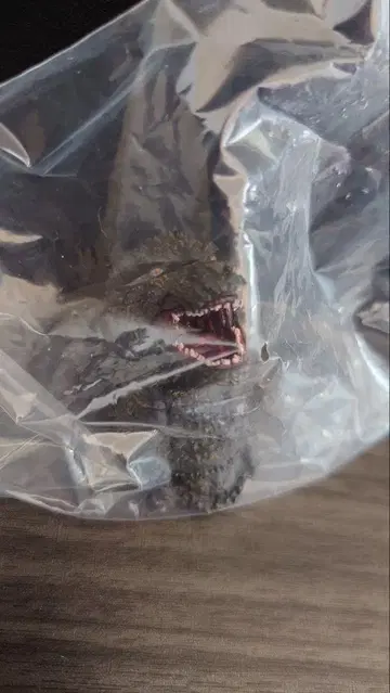제일복권 고질라 마이너스 원 H상 고질라 2023