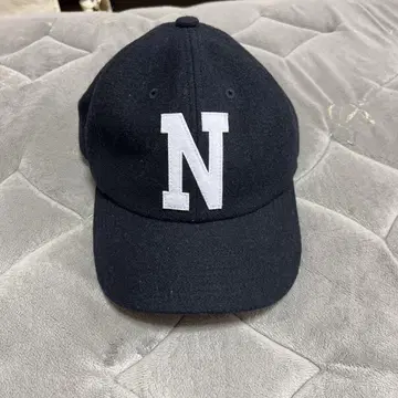 THE NORTH FACE 로고 플란넬 캡 NNA42031