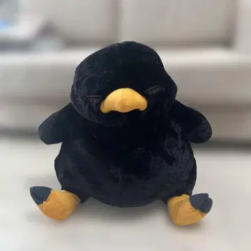 뚱보 블랙 초코보