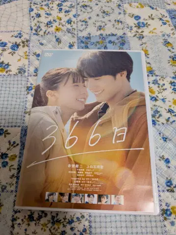 새상품 [ 366일 DVD ]