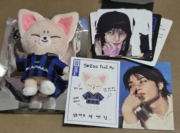 straykids 스키즈 KARMA skzoover 아이엔 폭시니