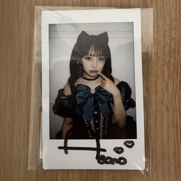 마스다 아야노 친필 사인 폴라로이드