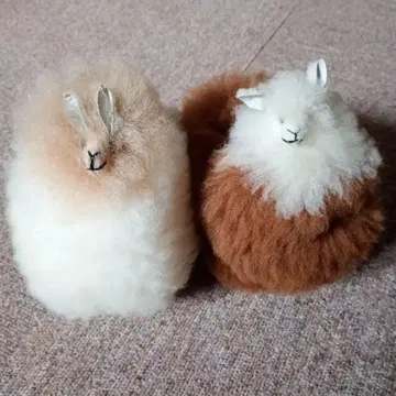 알파카 봉제 인형 2체 세트