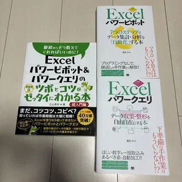 Excel 파워 피봇 파워 쿼리 관련 서적