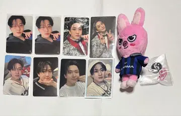 창빈 / 트레이딩 카드, 봉제 인형