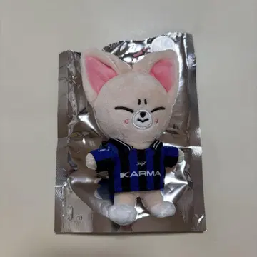 straykids karma skzoo 폭시니