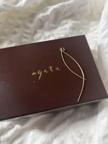 노제스 참