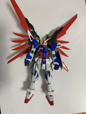 RG 데스티니 건담