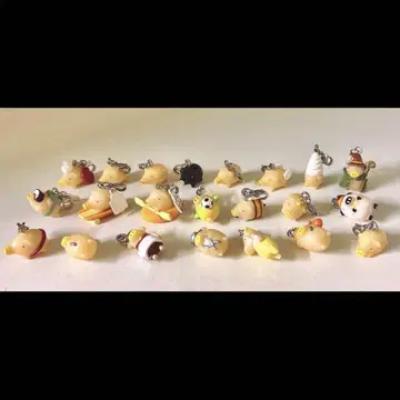 밝은 롸이톤 생활