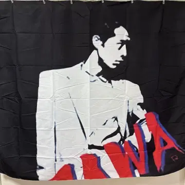 야자와 에이요시 태피스트리 실루엣