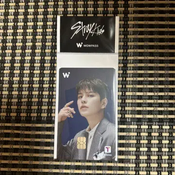 Stray Kids WOWPASS 승민