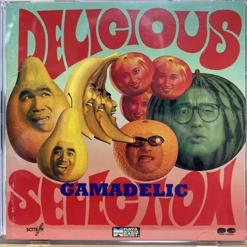 DELICIOUS SELECTION / 게이머 데릭