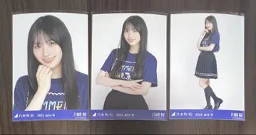 노기자카46 한여름 전국 투어 2025 티셔츠B 카와사키 사쿠라