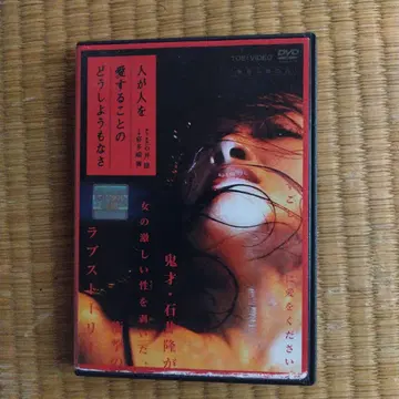 러브 스토리 DVD TOEI VIDEO