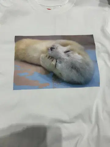 유니클로 UNIQLO 오이마치 한정판 시나가와 수족관 물개 물보라 T셔츠