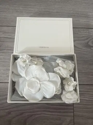 orgablanca 올가블랑카 귀찌