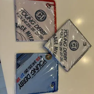 YOUNG DERBY 레이스용 깃발 3색 세트
