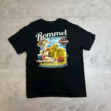 2000년대 할리데이비슨 L 핀업걸 박스 실루엣