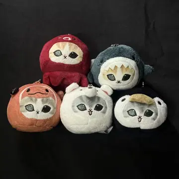 mofusand 바다 생물냥 전종 세트