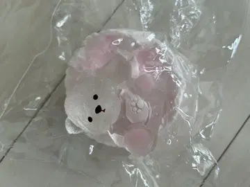 스퀴즈