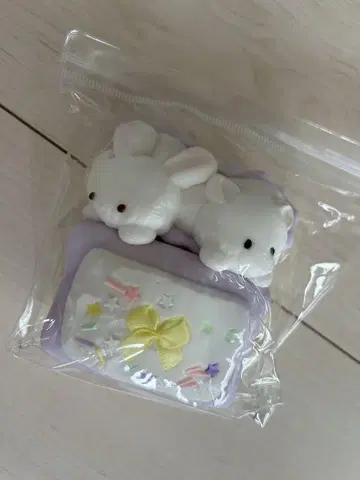 스퀴즈