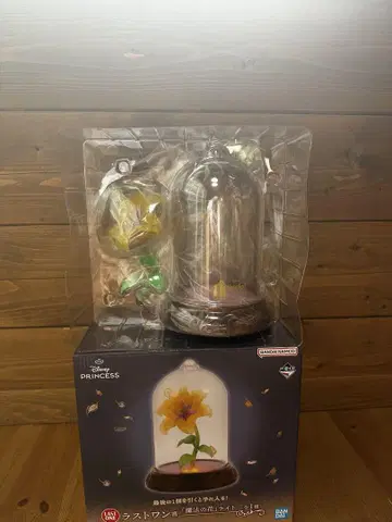 디즈니 프린세스 라스트 원! 마법의 꽃 컬렉션 프리