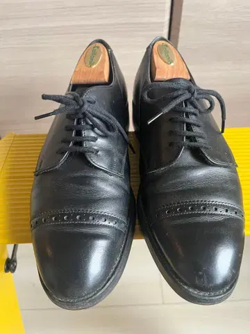 조셉 치니 joseph cheaney