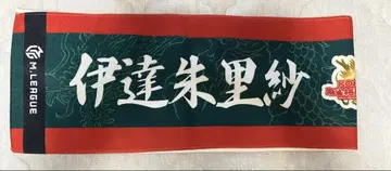 다테 아리사 KONAMI 마작 격투 구락부 머플러 타월
