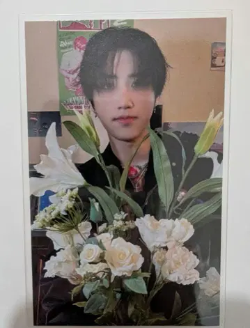 한 HMV 럭키 드로우 트레이딩 카드